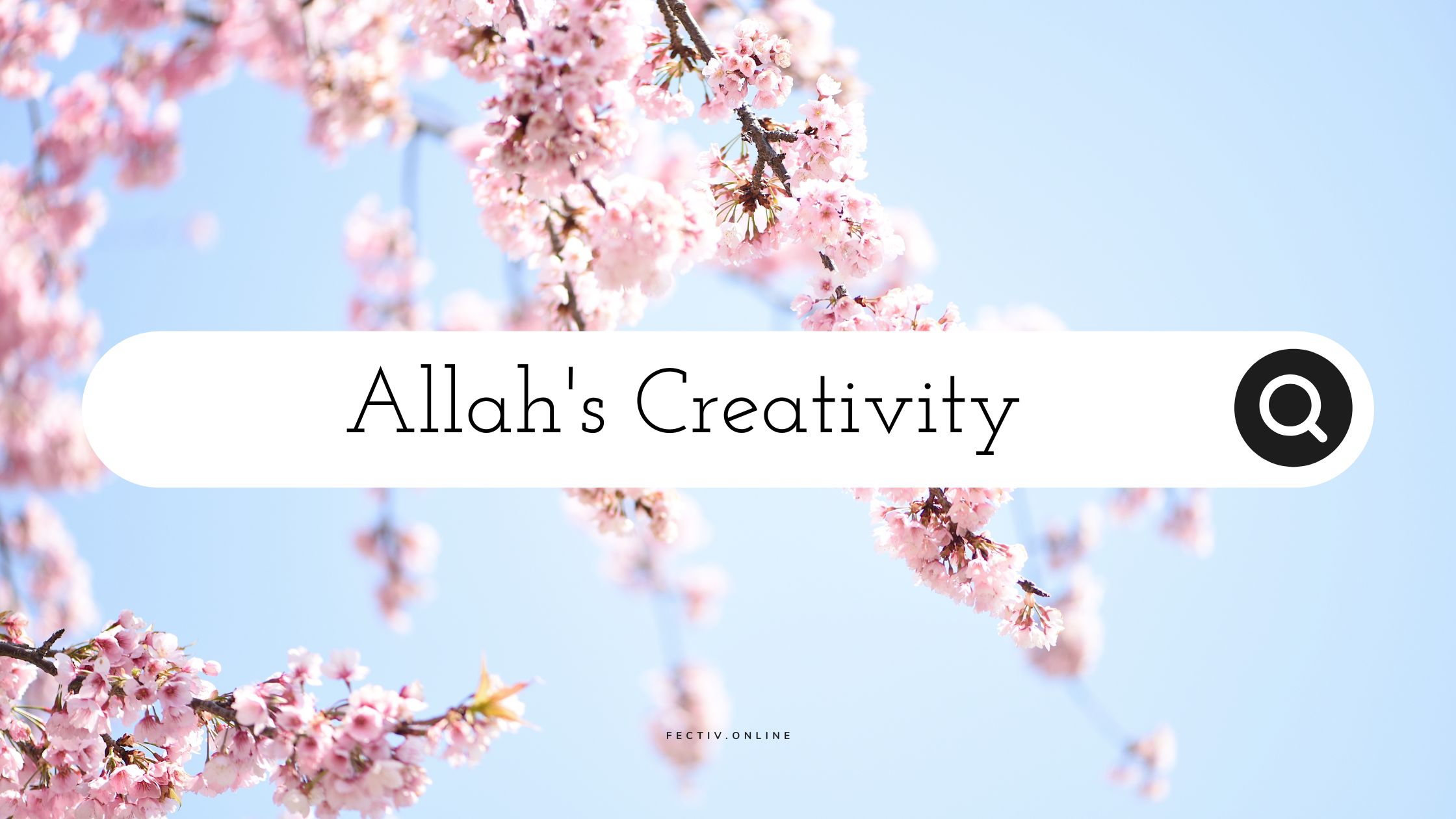 Allah’s Creativity