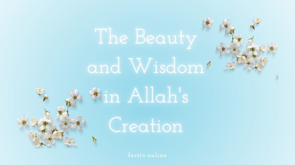 Title - Beauty and Wisdom in Allah's Creation - on blue background