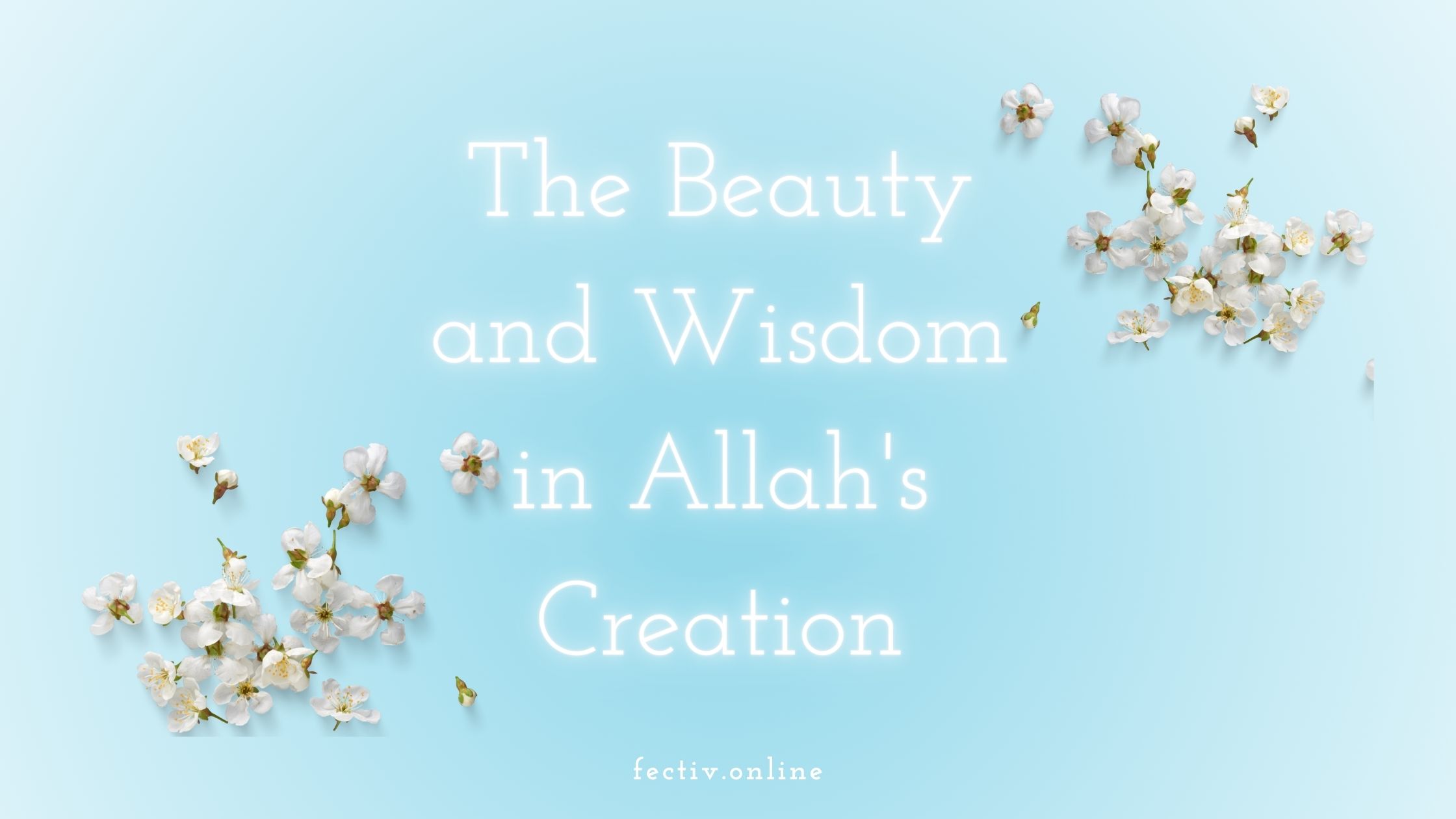 The Beauty and Wisdom in Allah’s Creation