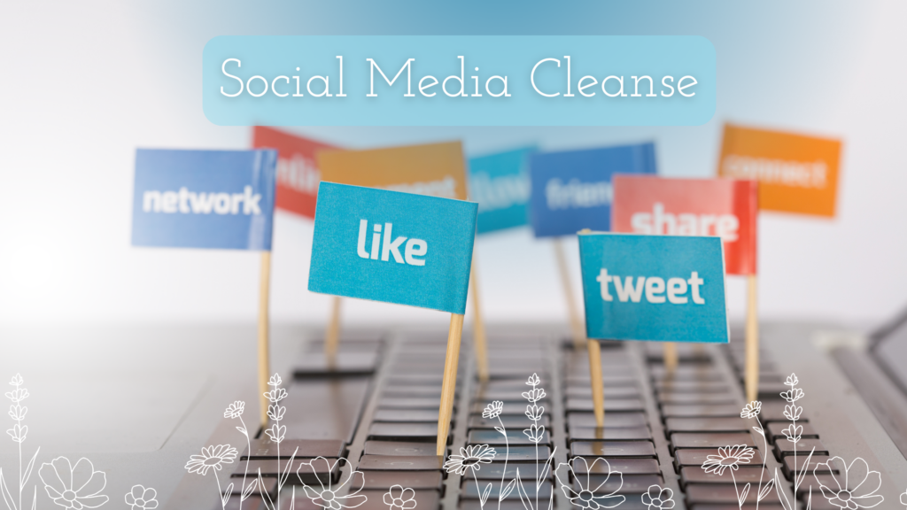 social media cleanse title next to flags of social media button text