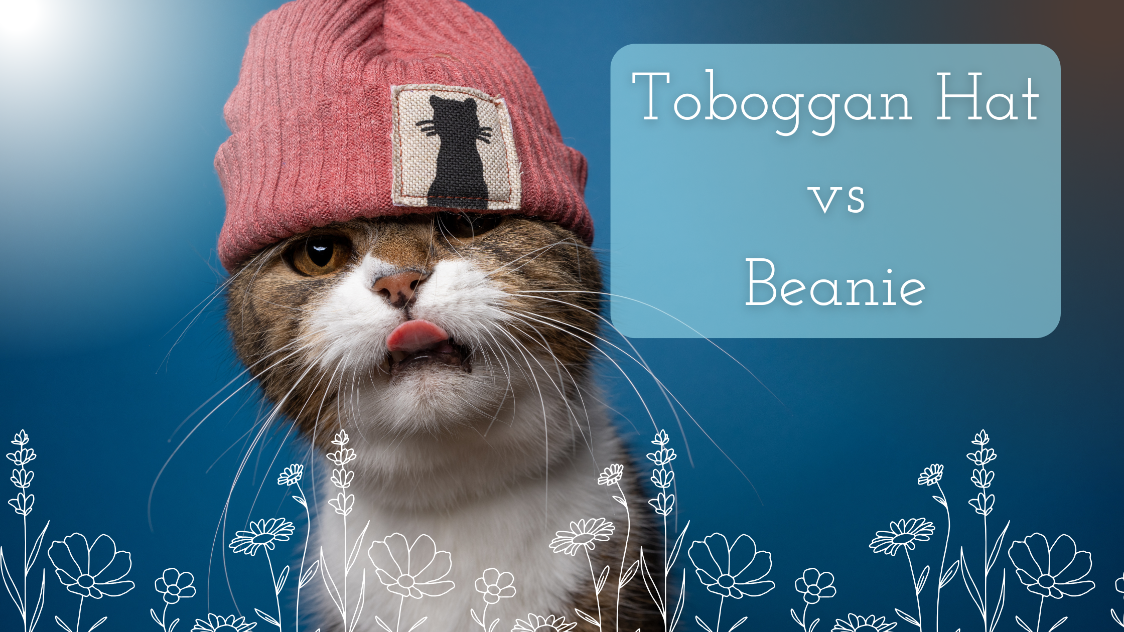 Toboggan Hat vs Beanie title next to a kitty wearing a beanie