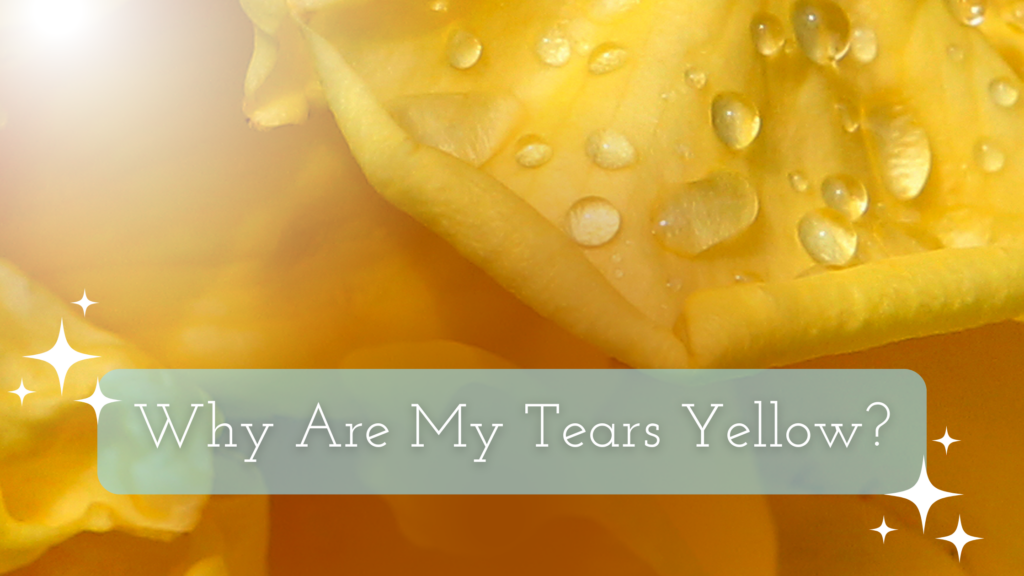 Why Are My Tears Yellow Title on an image of yellow tears - looks like a flower with water drops