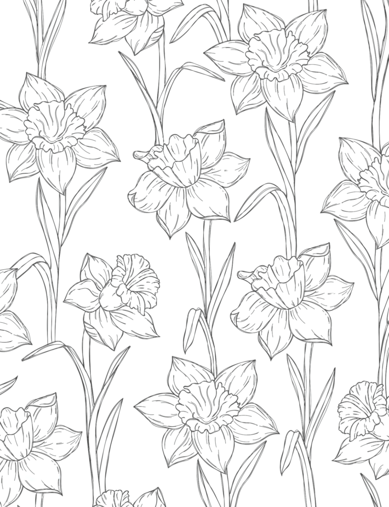 spring coloring sheets page with Narcissus flowers in it